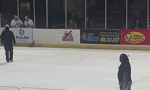Ice Cat Runs Around Hockey Rink