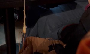 Pizza Cheese Stretches and Spills Into a Clothing Bag