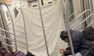 Mobile Studio Apartment