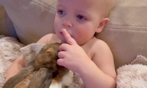 Just a Boy and His Bunny