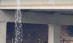 Trout Stocking Greenbelt Lake
