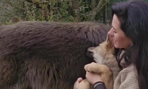 Puppy Doesn't Want to Share His Mom
