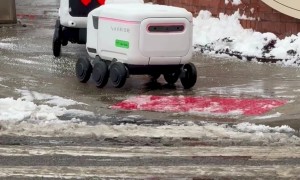Delivery Robot Meet Cute