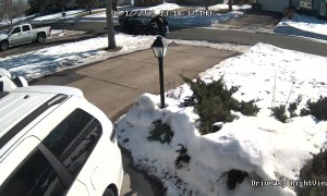 ICE Agents Moving Different