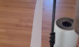 Baby Discovers Toilet Paper