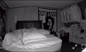 Dog Engages Toe Grip, Still Falls Off Bed