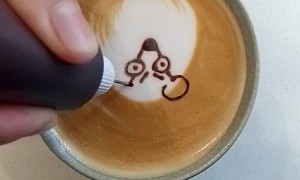 Latte Art Of Angry Rat