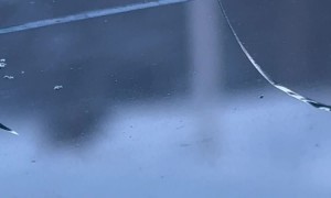 Moose Slips on Ice Crossing an Alaskan Highway