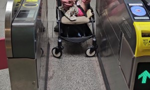 Flexible Legs Block Metro Gate