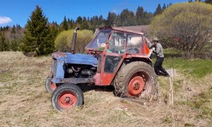 Board Used For Leverage Claps Back Against Man