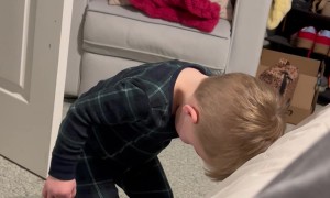 Toddler Sneaks Into Parent's Bedroom Unseen