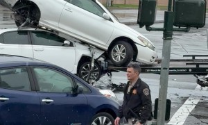 Mating Season in Citrus Heights