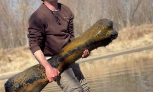 Mammoth Femur Found in Tributary