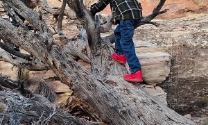 Lil Bro Sounded Like a Tornado Siren