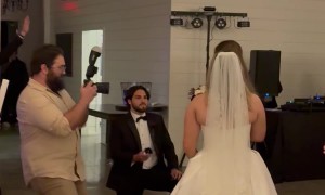 One Wedding, Two Love Stories