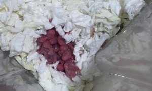 Hamster Mom Protects Her Babies