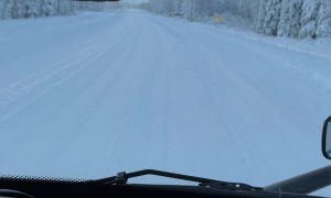 Escorted by The Raven