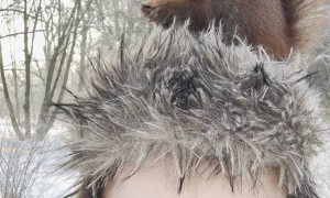 Red Squirrel Eating a Hazelnut on My Head