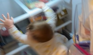 Curious Baby Falls From Refrigerator Shelf