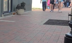 Plant Man Strikes Again