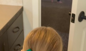 Leprechaun Footprints in the Bathroom