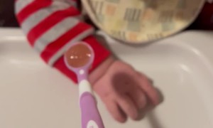 Shadows Are Hilarious