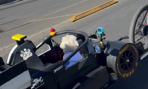 Dog in a Formula 1 Car