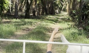 Parking Barrier Says You Can't Sit There