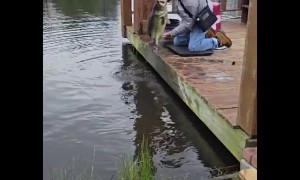 Man Catches Giant Bass With His Bare Hands