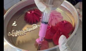 Stunning Floral Cake Made With Jelly