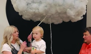 Sky Falls At Gender Reveal