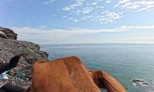 Cliffside Biker's Dog Says Hello