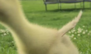 Loui and Vi are Learning Their Names