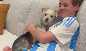 Noah and Penny Are Best Friends