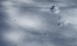 Snow Tubing Fail Flips Toy Tractor And Hits Fence