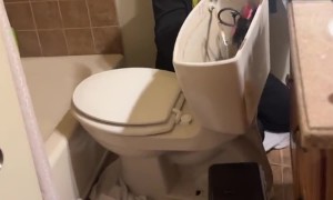 Gagging Dad Sends Son Into a Giggle Fit