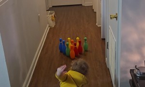 Grandson's Unusual Bowling Technique Gets Results