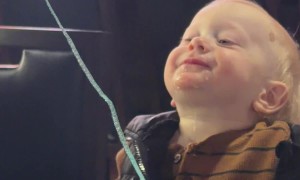 Hibachi Baby Locks In