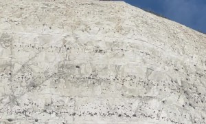 I Don't Think He Expected It to Actually Reach the Top