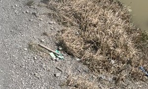 Gave an Alligator My Beefy 5 Layer Burrito