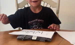 Our Son's Adorable Reaction to WWE Birthday Surprise