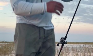 Fishing Pole Goes Flying