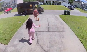 Tiny Dog Tries to Join UPS Delivery Driver Mid-Route