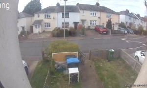 Excited Dog Breaks Owner's Wrist at Fence