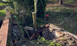 Tree Surgeon Sends It