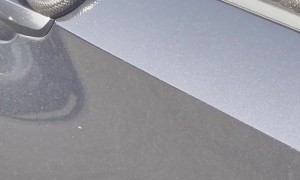 Car Protected by Snake Security System