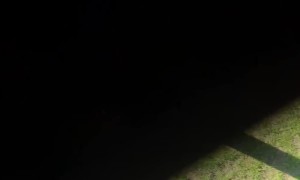 Kid Gets Kneed in the Face