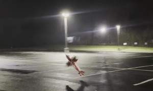 RC Plane Going Crazy