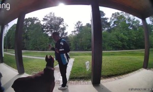 Roux the 140lb Doberman Makes Friends With Amazon Driver
