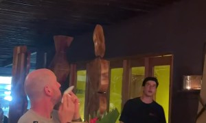 Sloth Entering the Restaurant